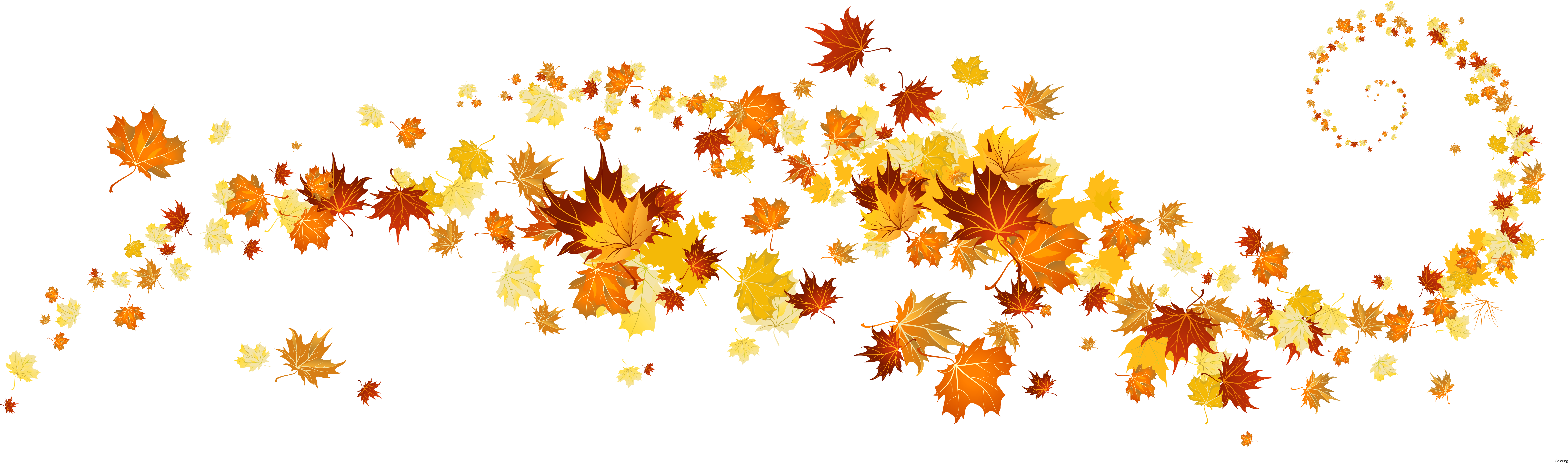 Foliage Clipart Modern Leaf - Fall Leaves Clip Art (7561x2383)