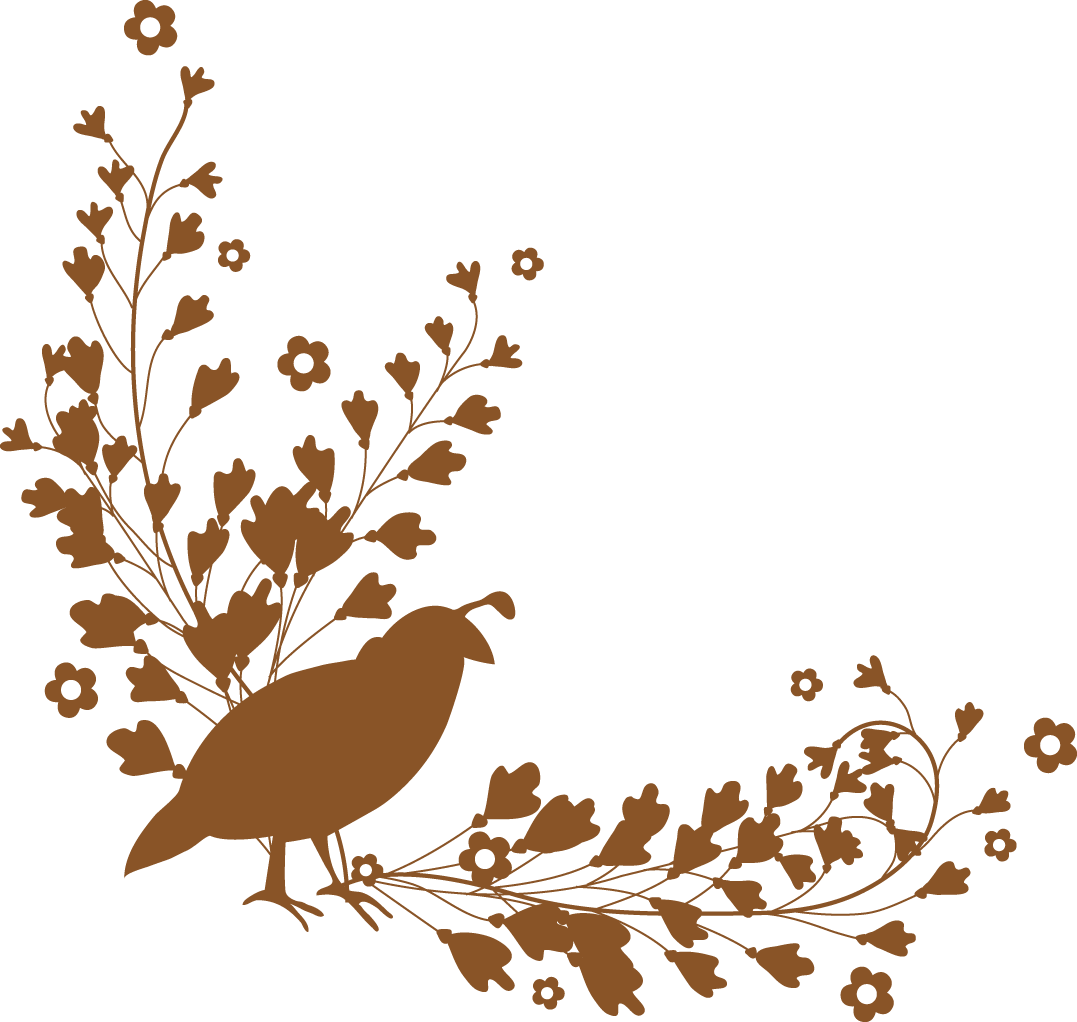 Fall Brown Quail - Brown Leaf Border Png (1077x1022)