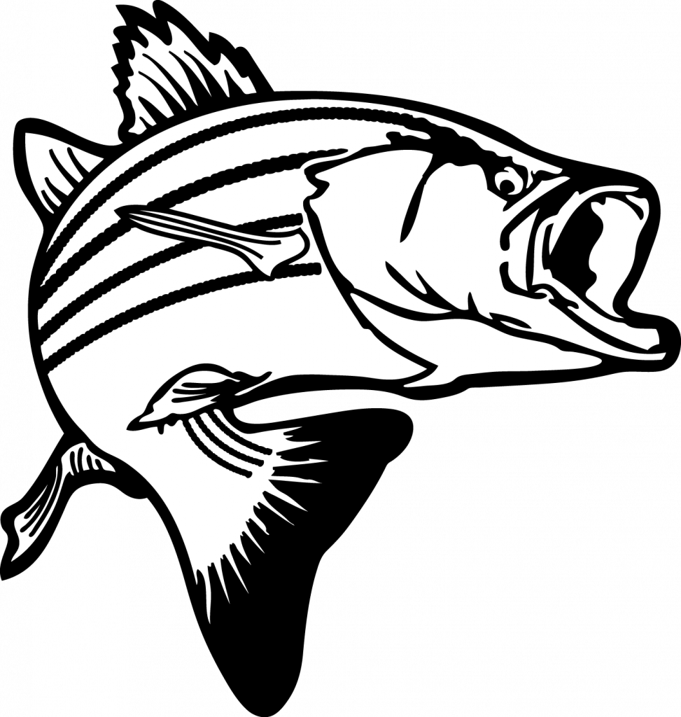 Fortune Clipart Pictures Of Fish Jumping Bass Clip - Fish Clipart Black And White (973x1024)