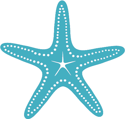 Great Accommodations - Teal Starfish Png (400x414)