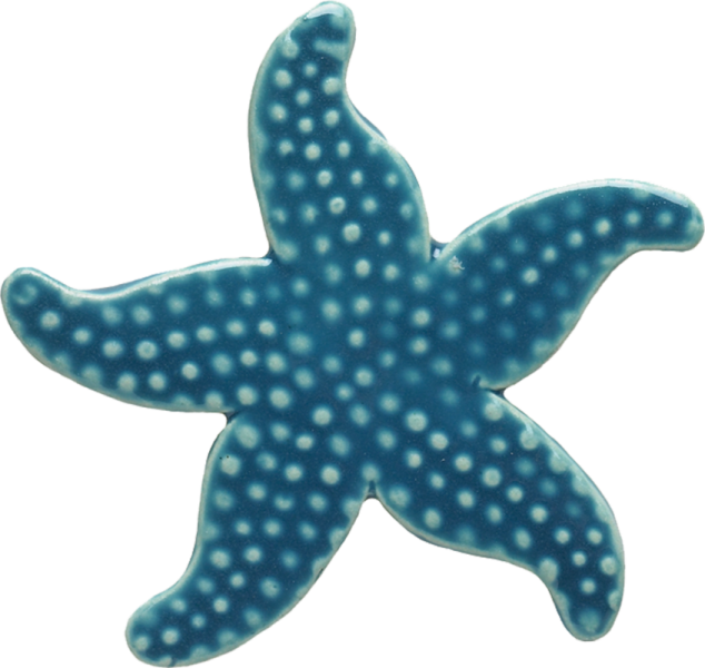 102lb 5" Starfish-light Blue Ceramic Pool Mosaic - Starfish Mosaic (634x600)