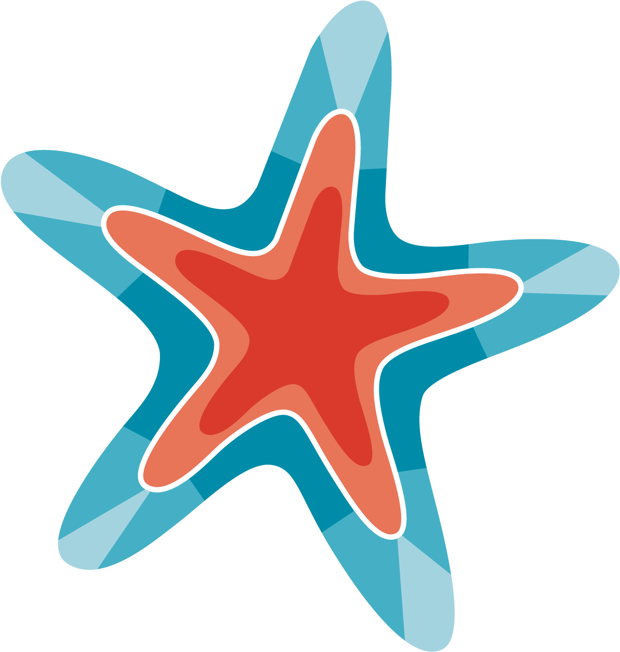 Starfish (1323x1345)