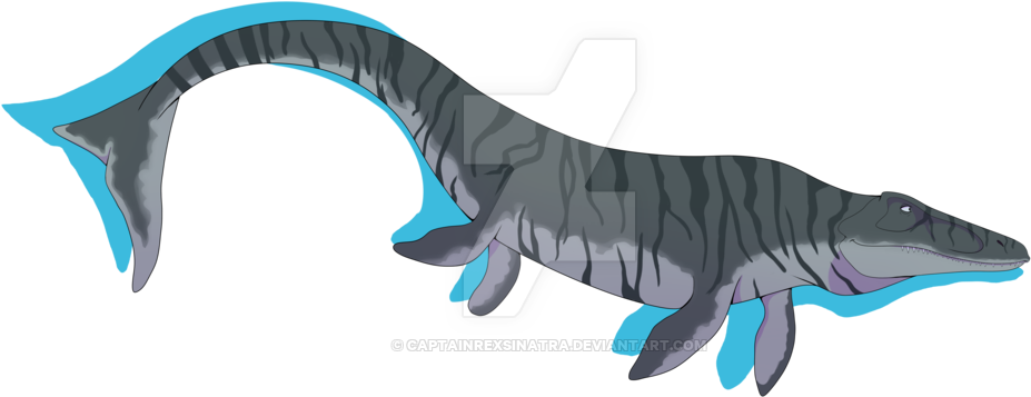 Mosasaurus By Captainrexsinatra Mosasaurus By Captainrexsinatra - Mosasaurus (1024x444)