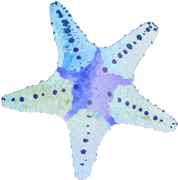 Starfish Png A Season Of Accountability - Domini Impact Investments Llc (604x630)