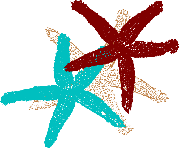 Small - Fish Clip Art (600x495)