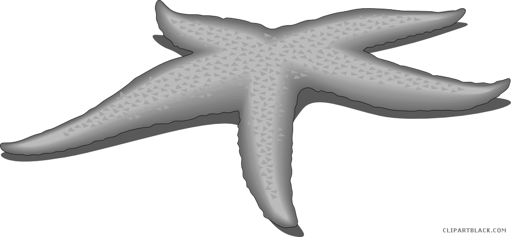 Grayscale Starfish Animal Free Black White Clipart - Smarts-art 5 X Shell Starfish 15cm Tile Transfers Stickers (999x463)