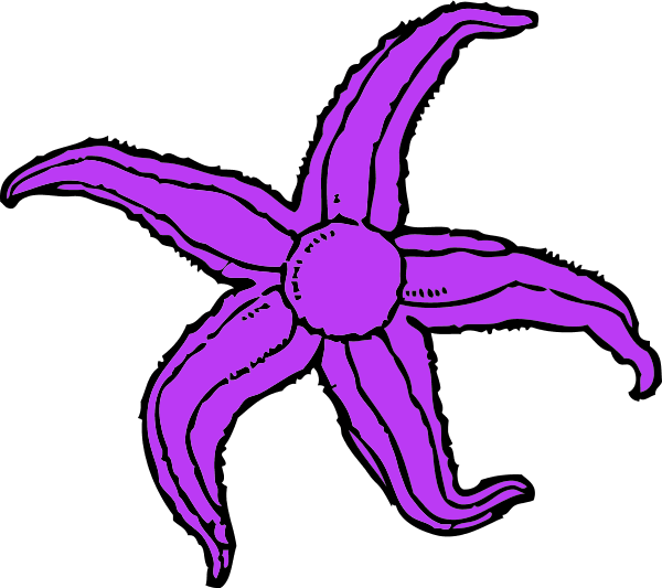 Purple Starfish Clipart - Custom Green Starfish Shower Curtain (600x533)