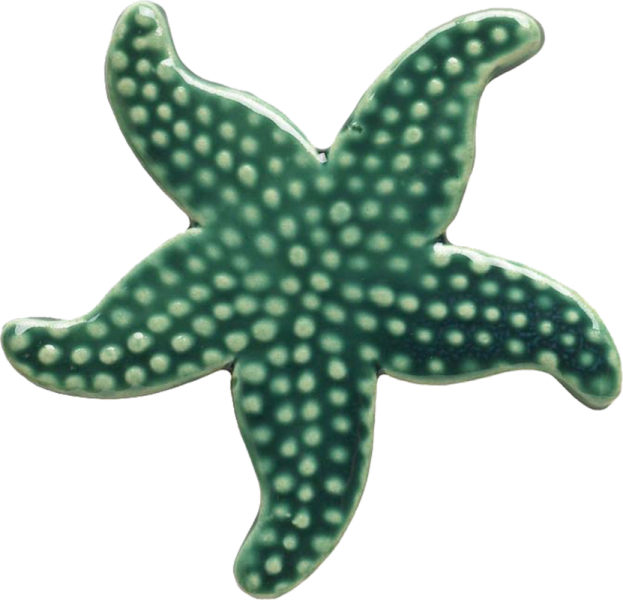102tl 5" Starfish-teal Ceramic Pool Mosaic - Green Starfish (623x600)