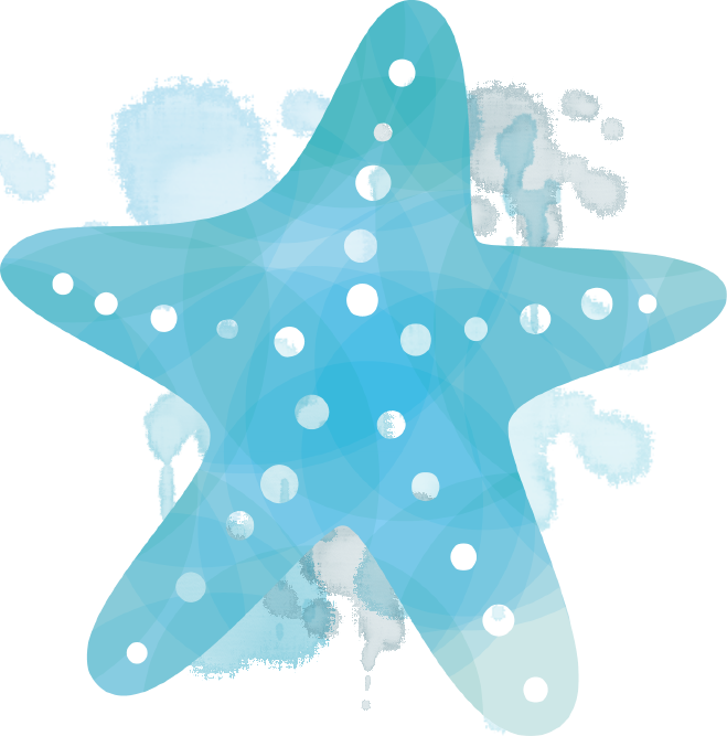 Passport Ocean Is A Socially-minded Online Ecommerce - Estrela Do Mar Azul Png (659x667)