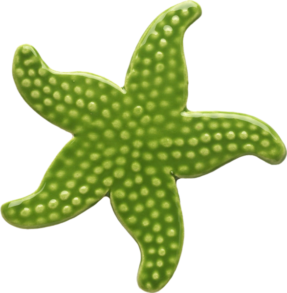 102gr 5" Starfish-green Ceramic Pool Mosaic - Clip Art Of Starfish (587x600)