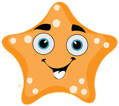Starfish, The Sea, The Ocean, Coast - Starfish, The Sea, The Ocean, Coast (604x340)