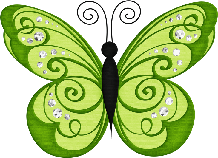 Borboletas & Joaninhas E - Green Butterfly Clipart (730x530)