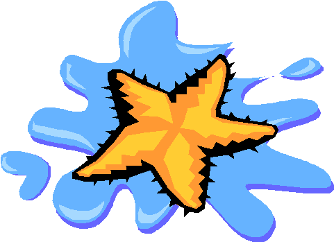 Little Starfish - Gif Animado De Estrellas De Mar (483x355)
