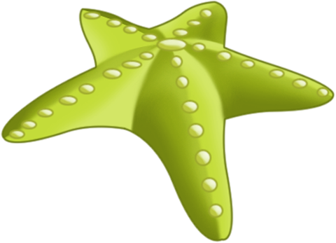 Green Starfish Full Size - Starfish (480x347)