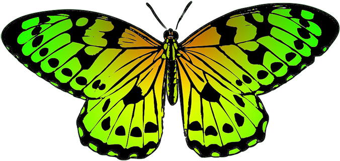 Tropical Butterfly Clipart - Yellow Butterfly Transparent Png (709x469)