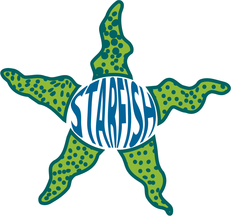 Clipart Starfish - Starfish (804x750)