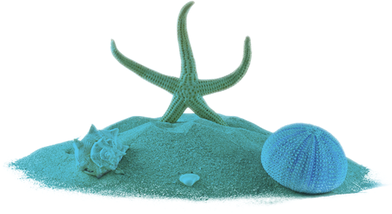 Téléphone 905 891‑0900 - Echinoderm (582x348)