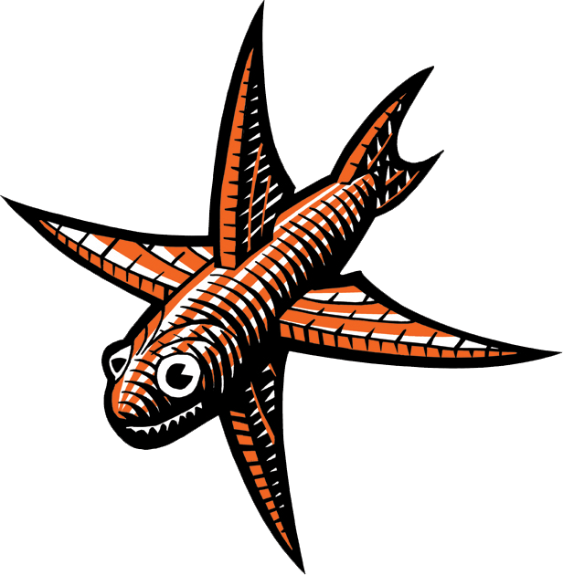 Escher Clipart Starfish - Mc Escher Flying Fish (616x630)