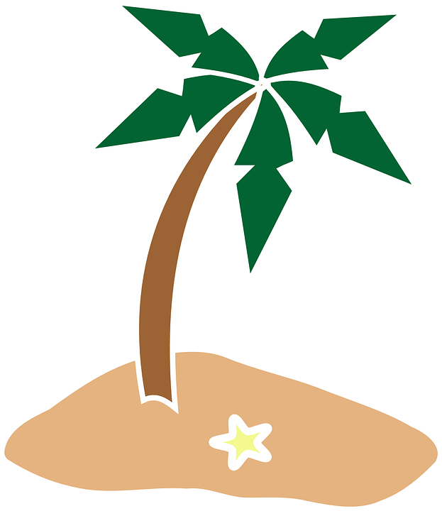 Palm Tree, Coconut Tree, Island, Starfish, Summer - Island Png (623x720)