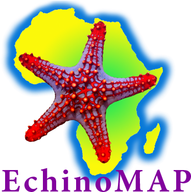 [inmage Size Reduced] - Drapeau (400x379)