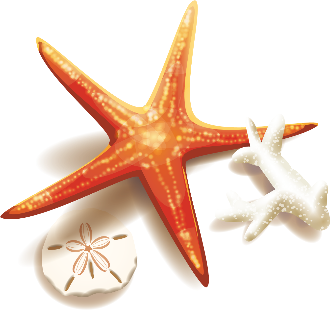 Stock Illustration Clip Art - Transparent Background Starfish Png (1500x1500)