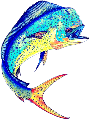 Mahi Mahi Logos (416x396)