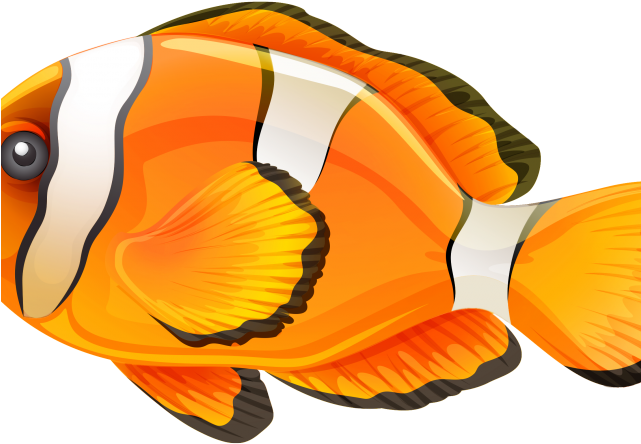 Butterflyfish Clipart Clown Fish - Fish .png (640x480)