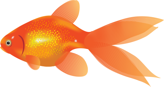 The Attention Span Of Your Average Visitor Is Lowering - Animation Fish (549x291)