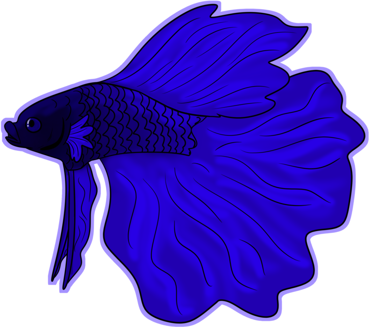 Betta Fish By Bearhugbooyah - Garibaldi (fish) (1024x683)