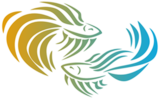 Bettas By Augustrealms - Illustration (564x357)