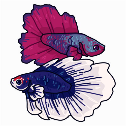 Fish Keeping Culture Is Getting Angry With Your Siphon - Fish Keeping Culture Is Getting Angry With Your Siphon (500x500)