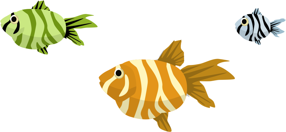Image Description - Coral Reef Fish (954x443)