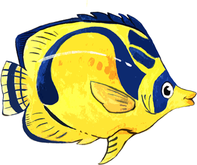 Butterfly Fish With Belts Erasmus Hall Summer Session - Coral Reef Fish (403x337)