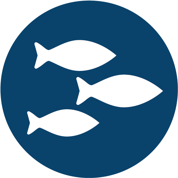 Portrait Of A Man (600x601)