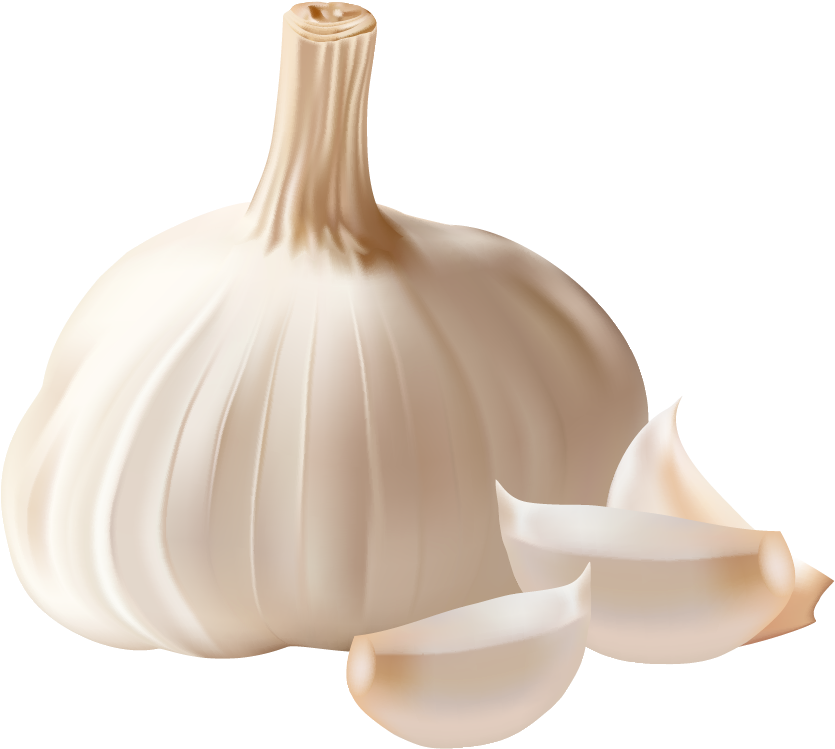 Garlic Pictures - Garlic Clipart Png (888x840)