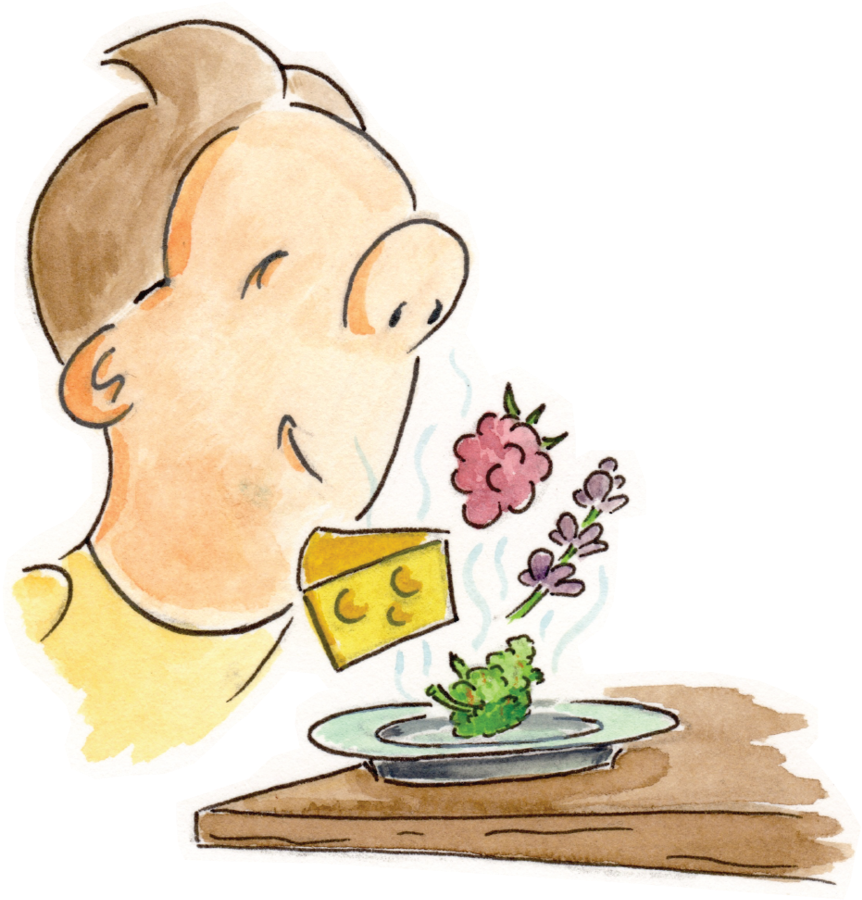 Entrepreneurs And Tourists Alike - Cartoon (1000x1037)