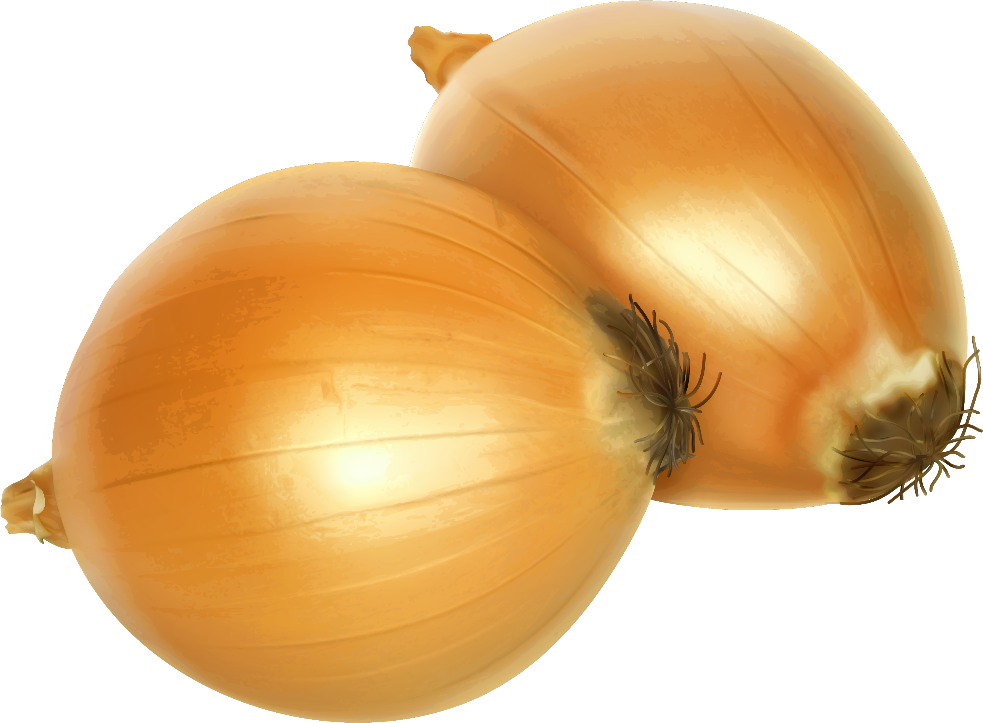 Onion Png Clipart - Free Clip Art Onion (3456x2682)