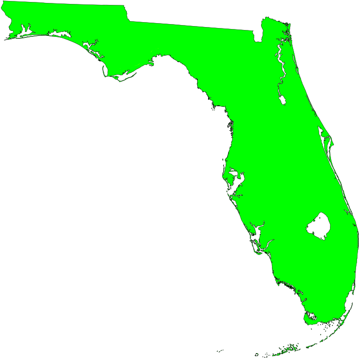 Florida Curricular Materials Adoption Review Committee - Topographic Map Of Florida (770x768)