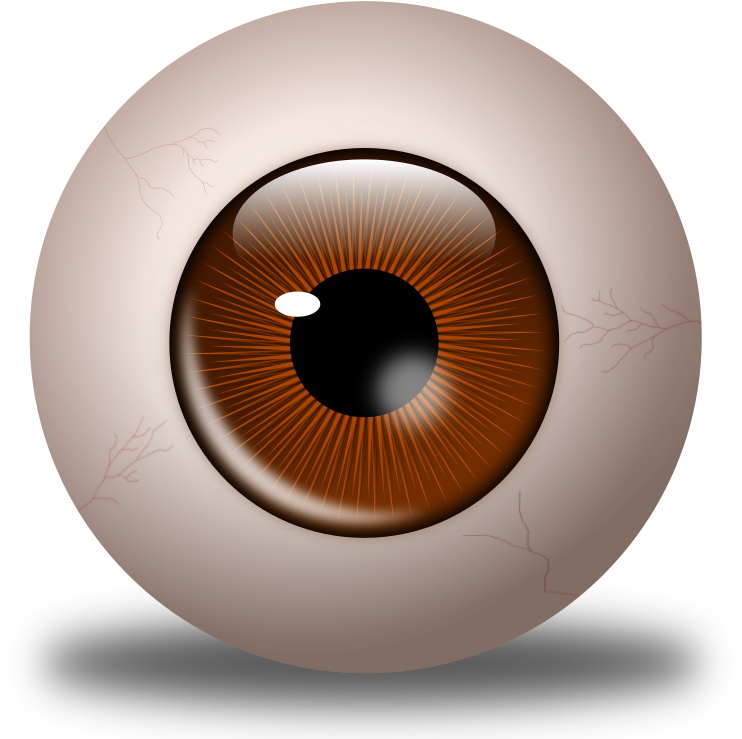 Brown Eyes Clipart Brown Eyeball - Eye (800x800)