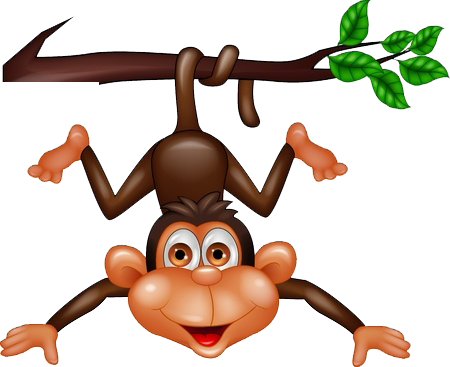 Contact Us - 100 Of The Most Playful Animals (450x367)