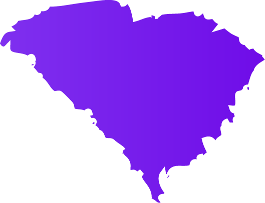 South Carolina Cheer Leading Camps And Clinics - South Carolina State Png (529x406)