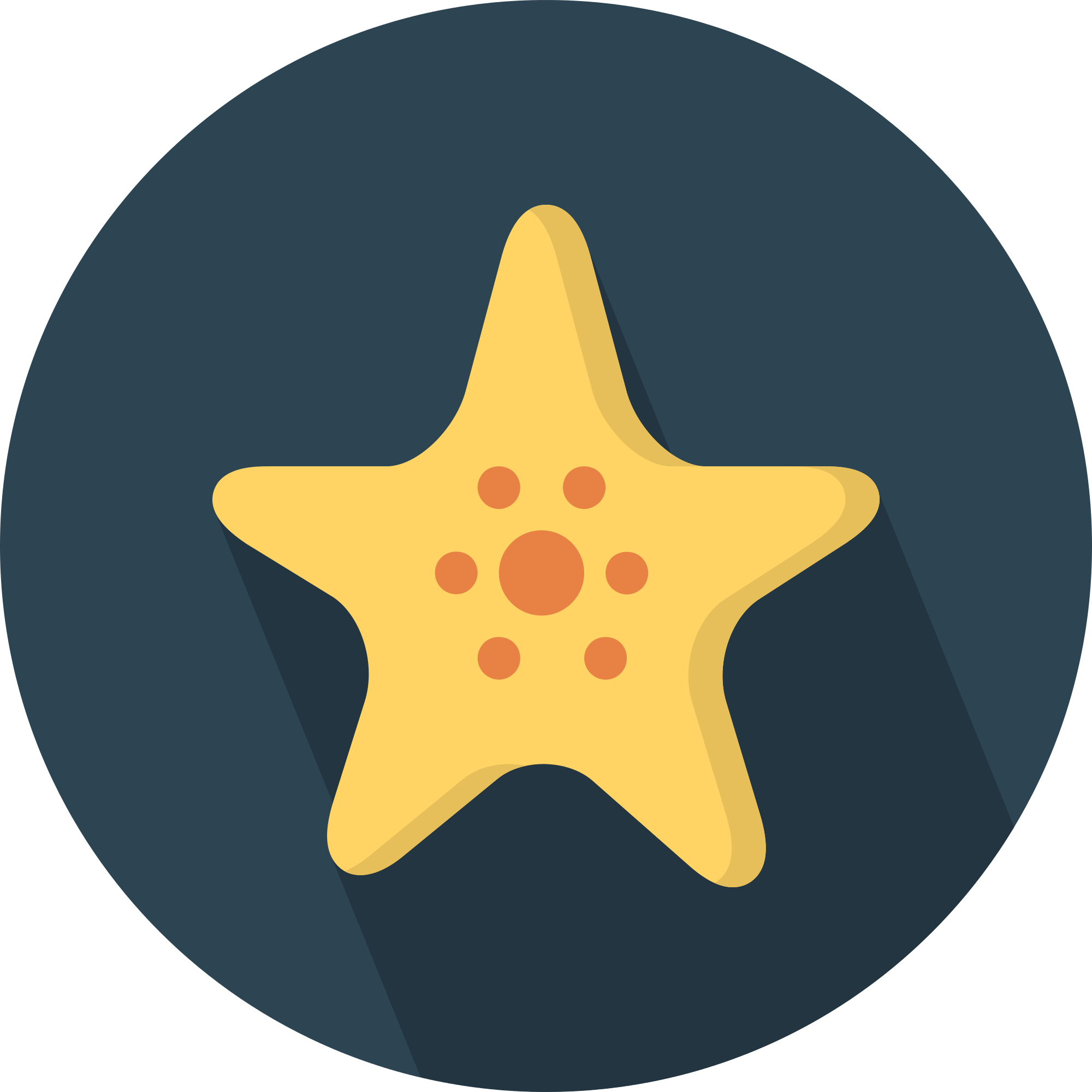 Starfish Png 17, Buy Clip Art - Material Design Star (2000x2000)