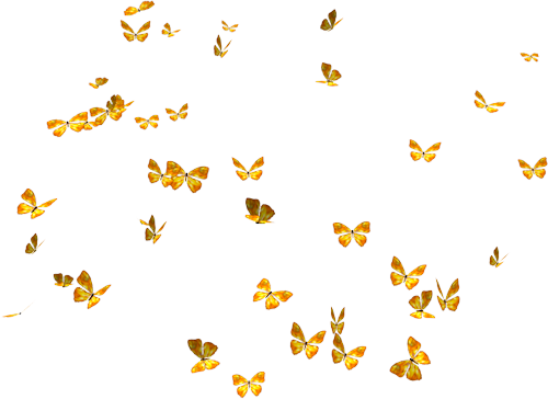 Flying Butterflies Png Image - Butterfly Png (500x364)