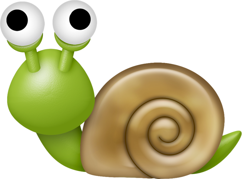 Marine Life Clipart Sea Snail - Snail (800x591)