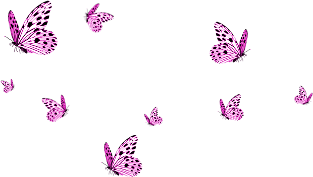 Transparent Butterflies Png Image - Seventeen Vernon Edit Gifs (900x500)