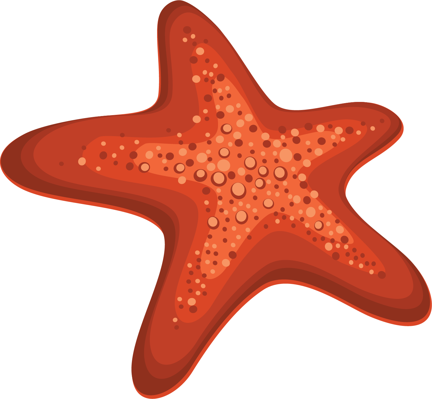 Pin Starfish Clipart Transparent Background - Dibujo Estrella De Mar (1441x1331)