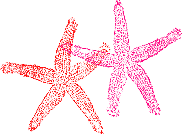 Starfish Transparent Background Clipart (600x443)