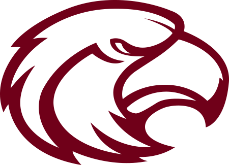 Southern Miss Golden Eagles (450x325)