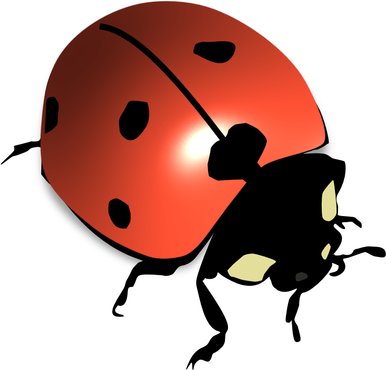 'l' Is For Ladybird - Ladybird (975x952)