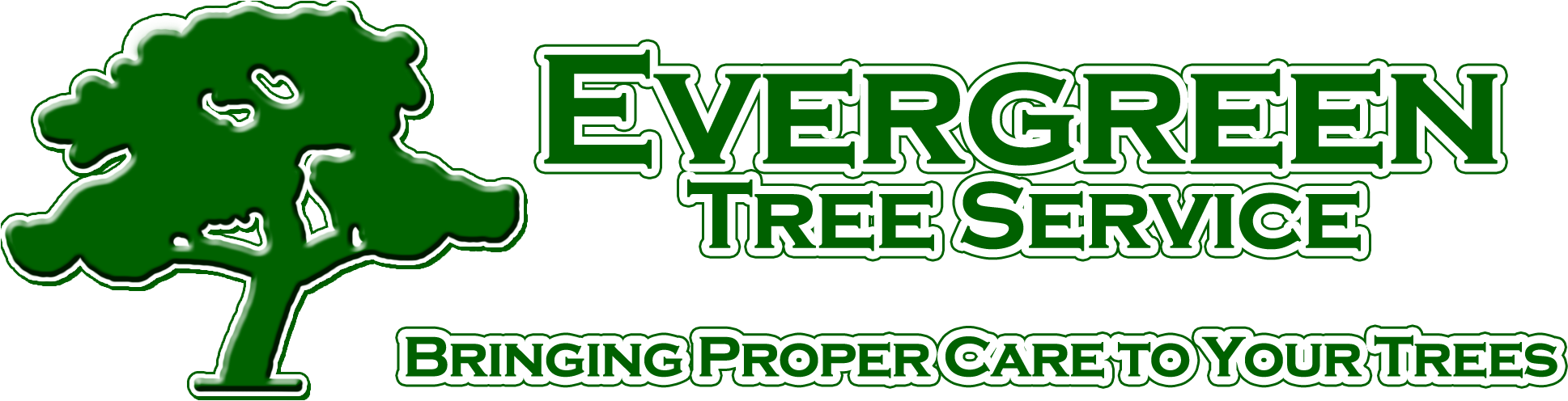 Evergreen Tree Service Mobile Alabama - Evergreen Tree Service (2000x506)
